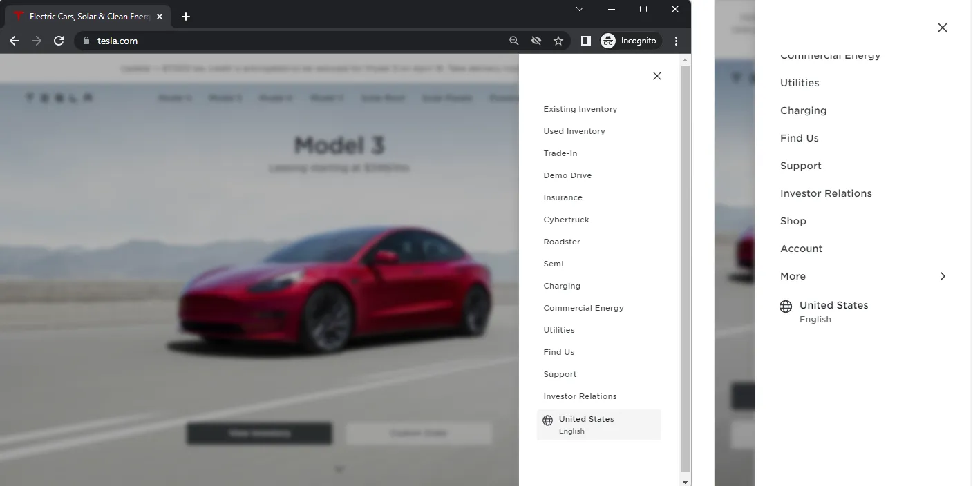 Language selector Tesla