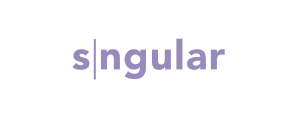 sngular logo